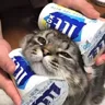 诶啊呀呀呀